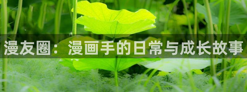 羞羞漫画免费入口官网：漫友圈：漫画手的日常与成长故事